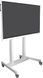 Інтерактивна панель TRIUMPH BOARD 65" 4К з мобільною стійкою TRIUMPH-65-stand фото 1